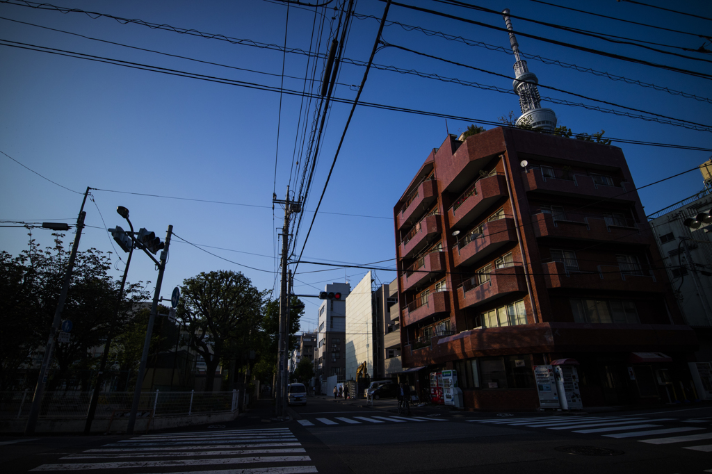 スカイツリーのある風景