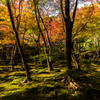 秋の京都・祇王寺