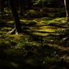 秋の京都・祇王寺