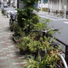 上野町並み#2