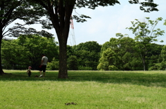 多摩永山周辺散歩８