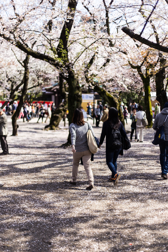 桜スナップ@靖国神社#3