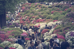 根津神社