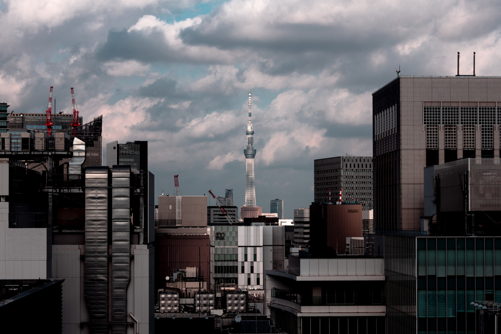 都会