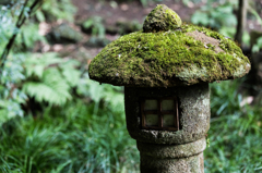 鎌倉散歩@報国寺#2