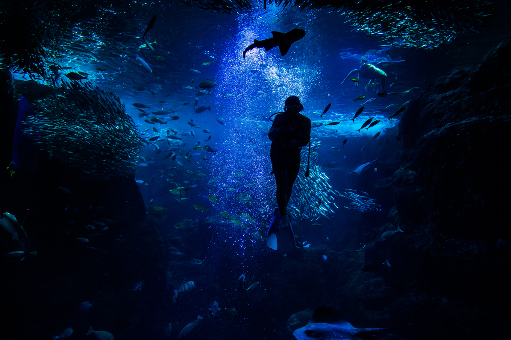 新江ノ島水族館#2