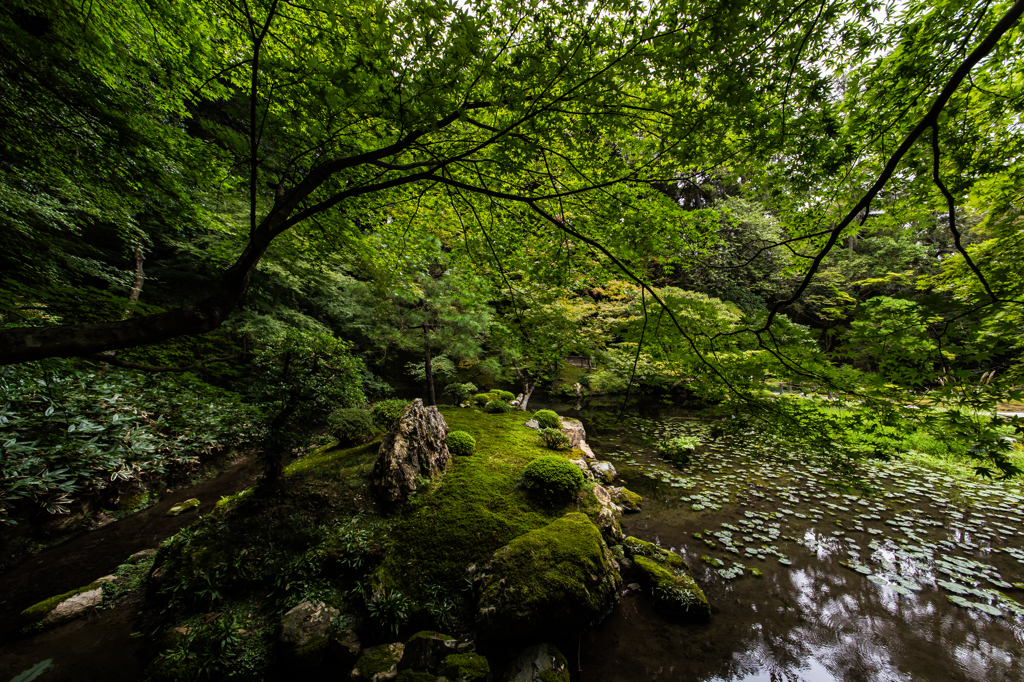 京都旅行#8