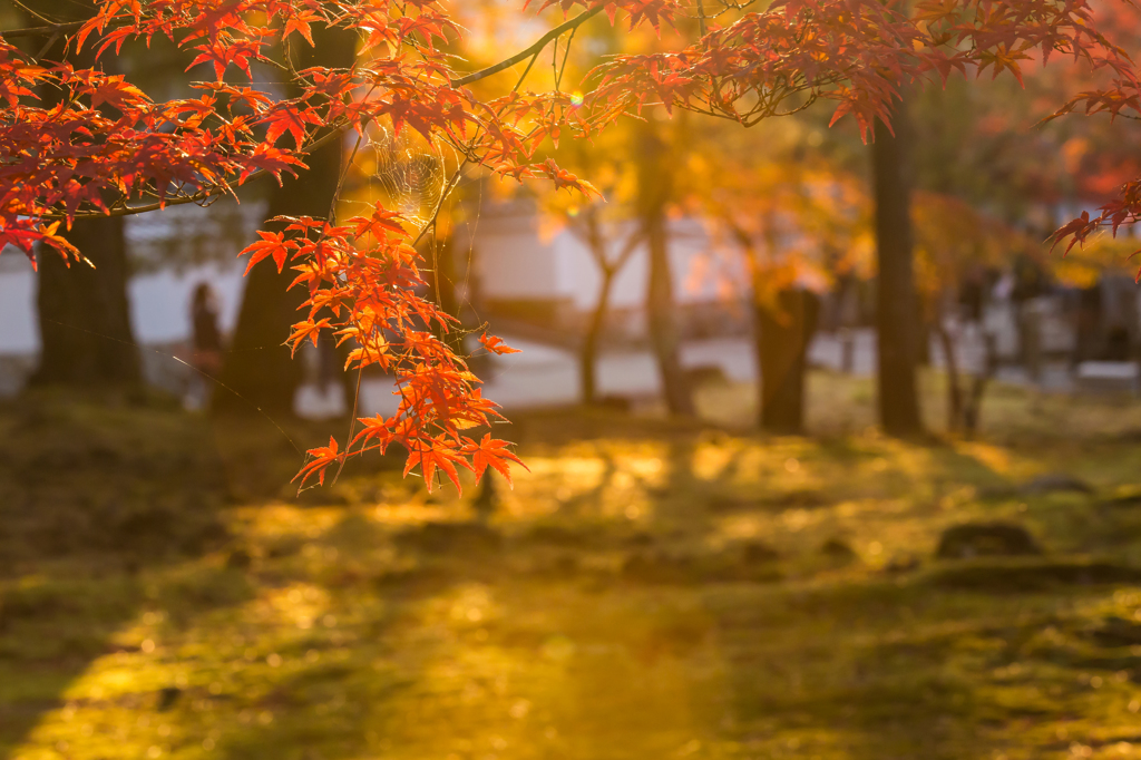 秋の京都・南禅寺