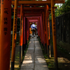 谷根千散策#5