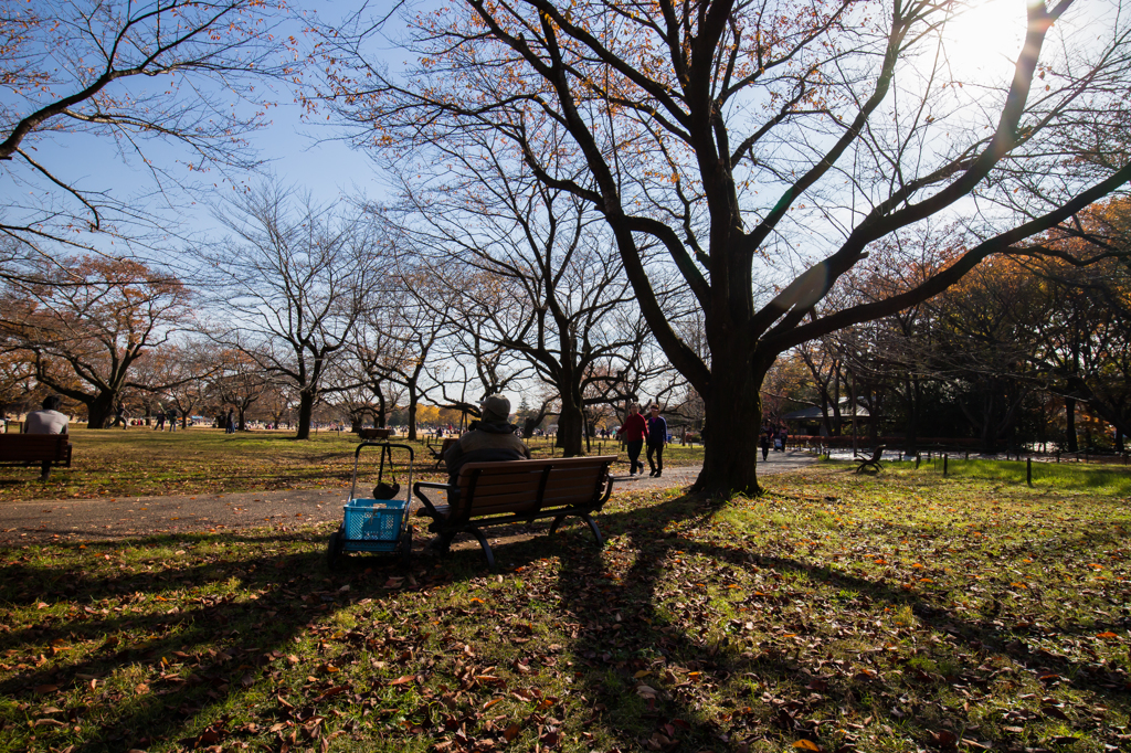 紅葉風景@木の下で・・・
