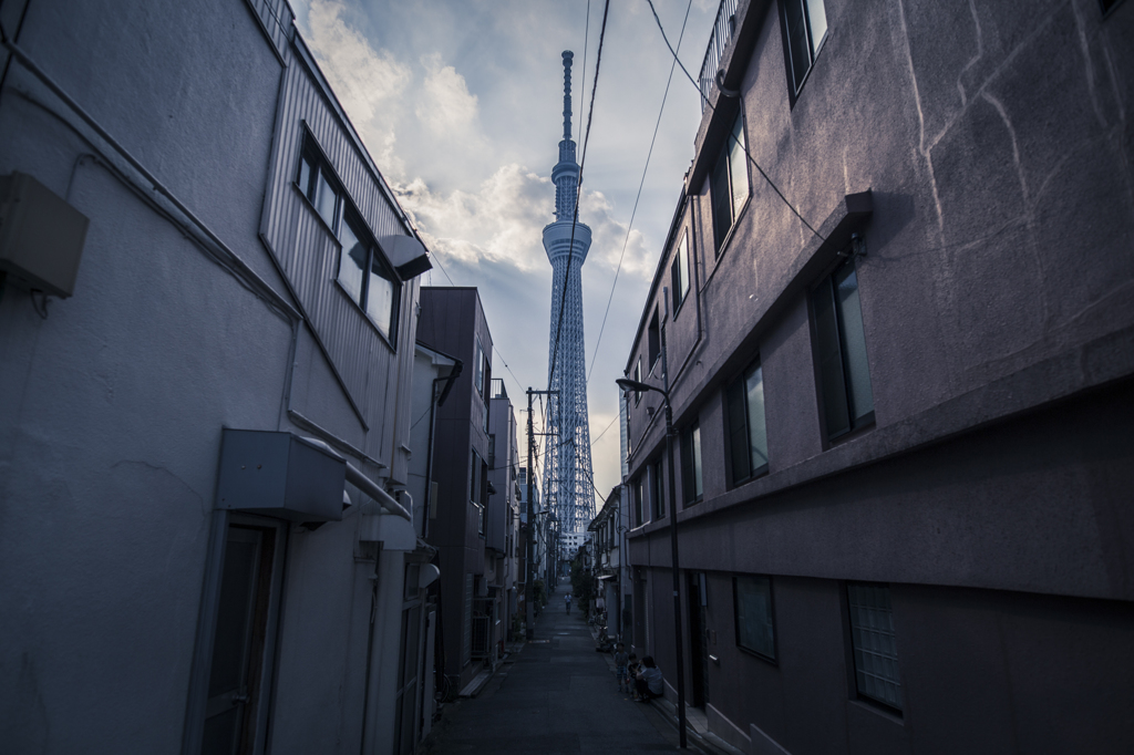路地裏から