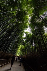 京都旅行#23