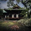 根津神社