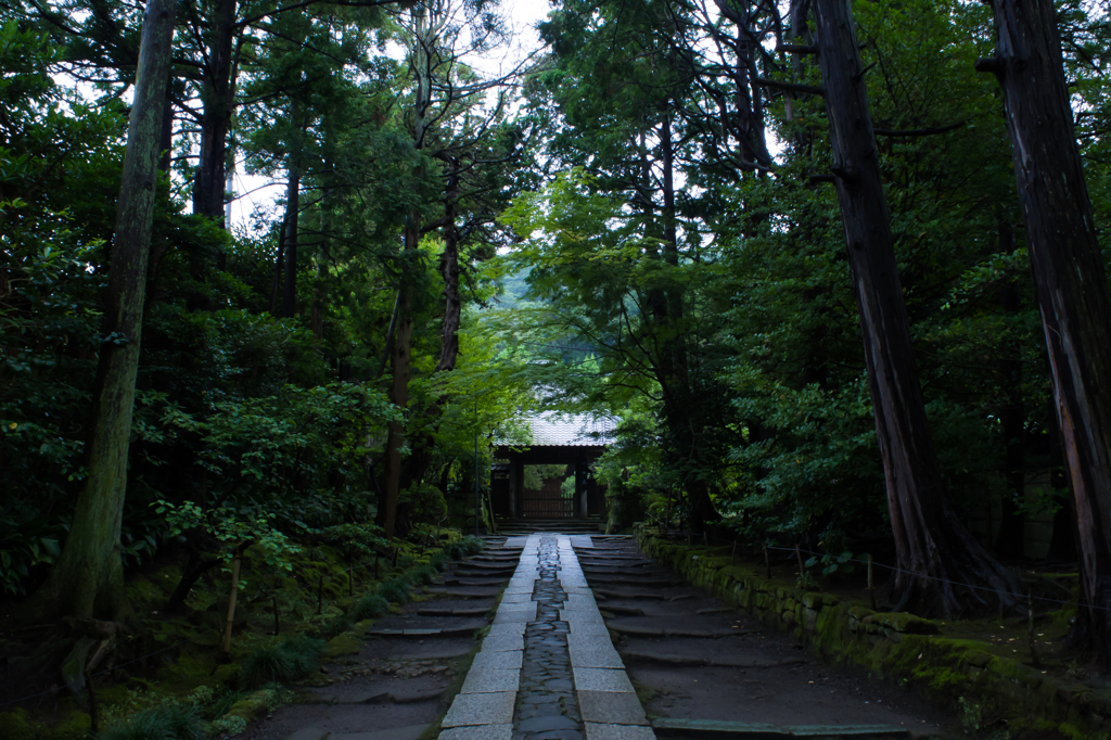 梅雨の鎌倉