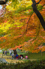 紅葉風景@小石川後楽園#3