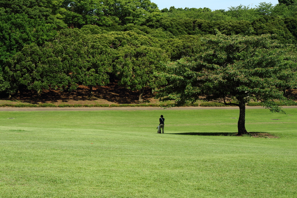 根岸森林公園と周辺