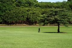 根岸森林公園と周辺