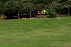 根岸森林公園と周辺