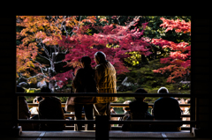 秋の京都・天龍寺