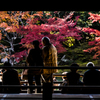 秋の京都・天龍寺