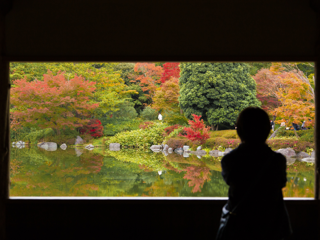 紅葉風景@昭和記念公園