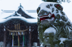 雪の東京#1