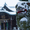 雪の東京#1