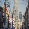 ツリーが見える町