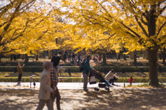 紅葉風景@昭和記念公園