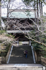 鎌倉散歩@円覚寺#1