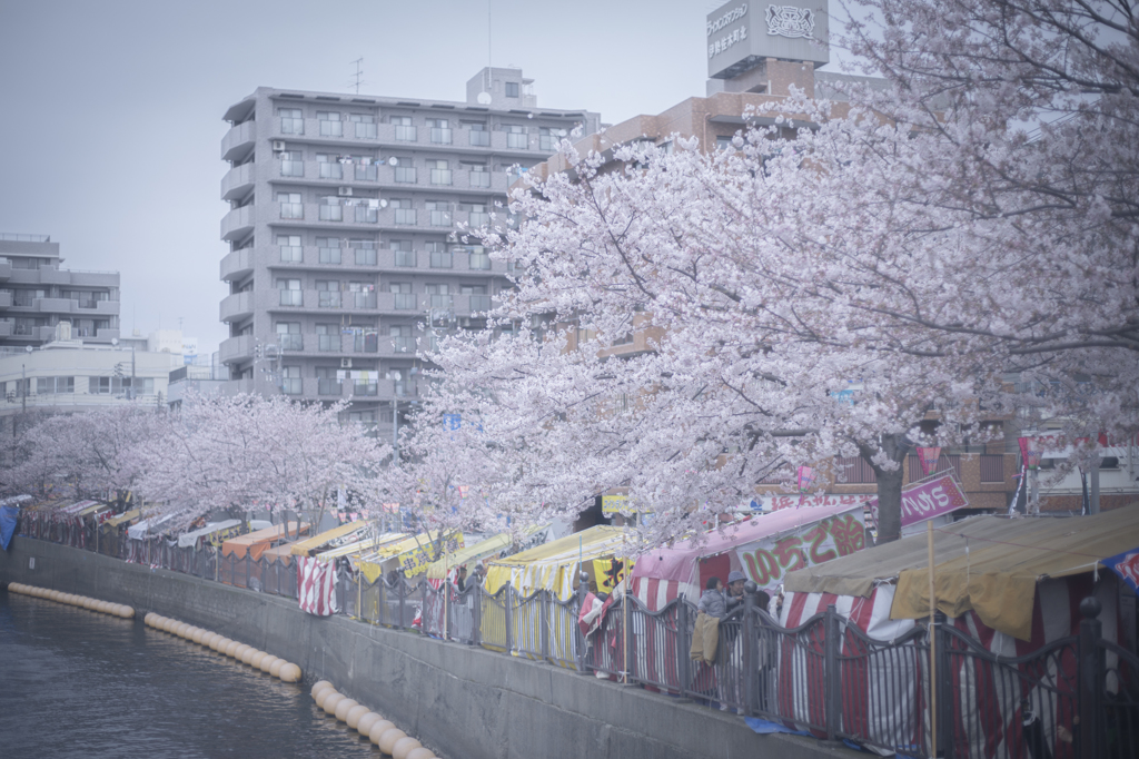 にぎわう横浜