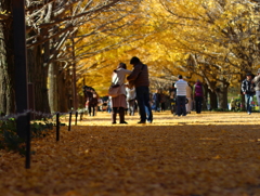 昭和記念公園01