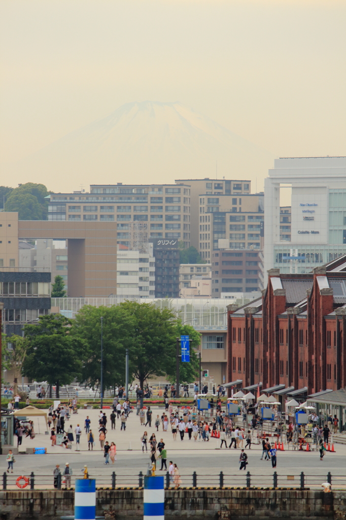 大さん橋から望む赤レンガ倉庫越しの富士山