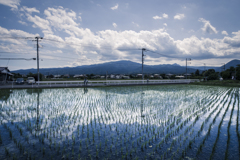 田園風景