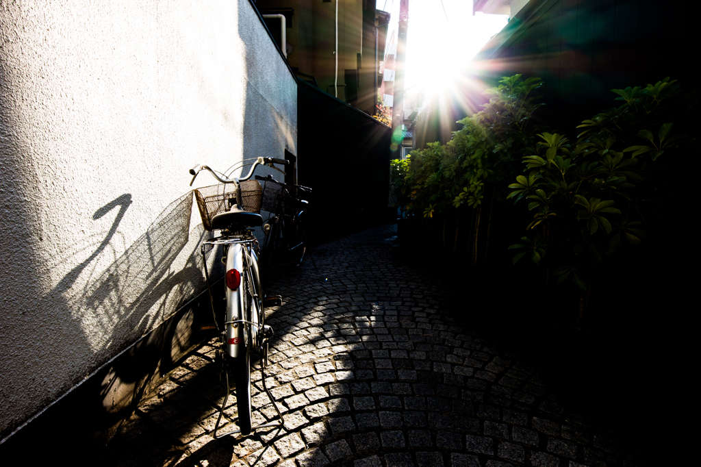 逆光チャリ