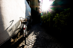 逆光チャリ