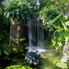 新木場熱帯植物園の温室