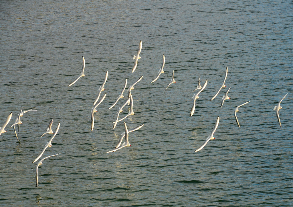 Parallelism sense