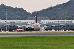 B777 MATSUYAMA