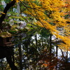 DSC01894