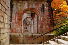 DSC01817
