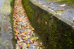 DSC01861