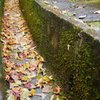 DSC01861