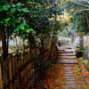 DSC01847