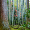 DSC01896