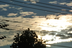 雨上がりの夕暮れ