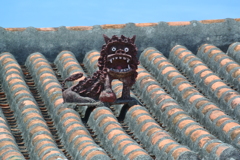 屋根の上の　２