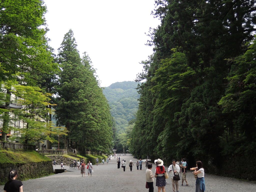 日光