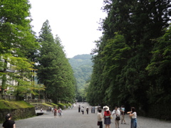 日光