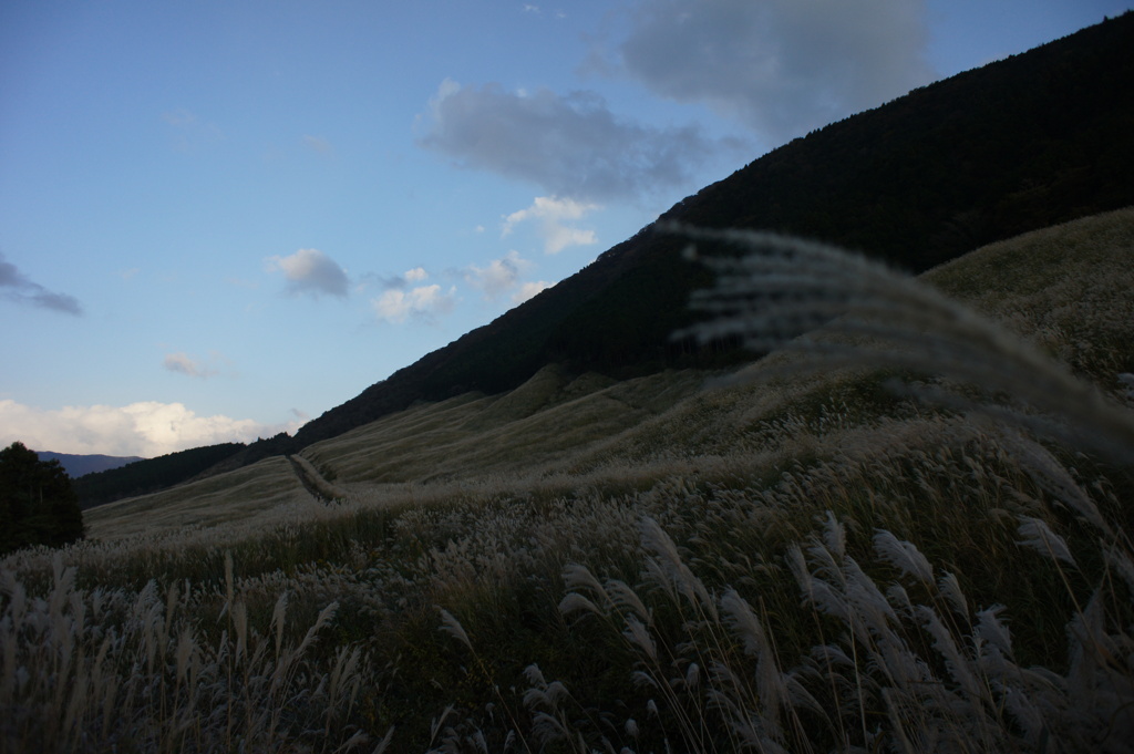 仙石原の夕暮れ